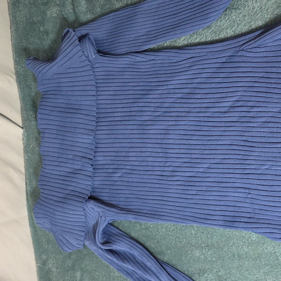 BCBGMaxAzria Blue Ribbed Sweater - Picture 3 of 3